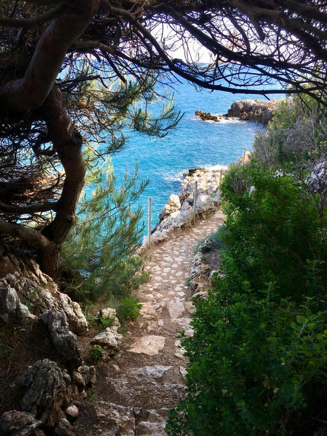 Artistic Antibes Apartment Екстер'єр фото